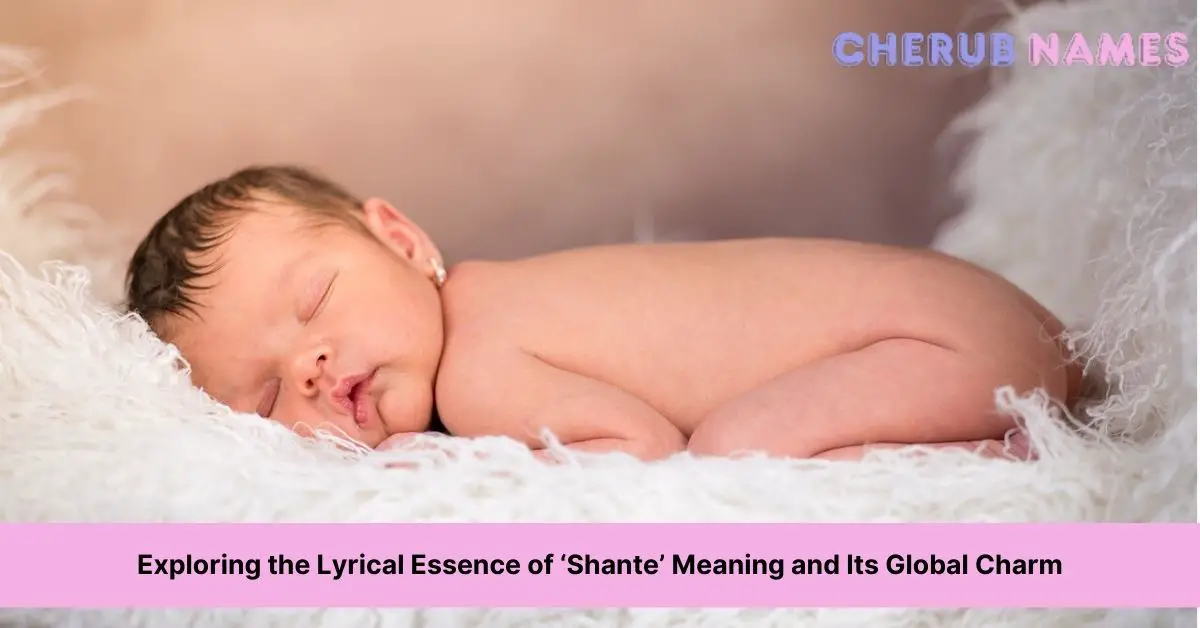 shante meaning